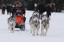 Lenzerheide 2013